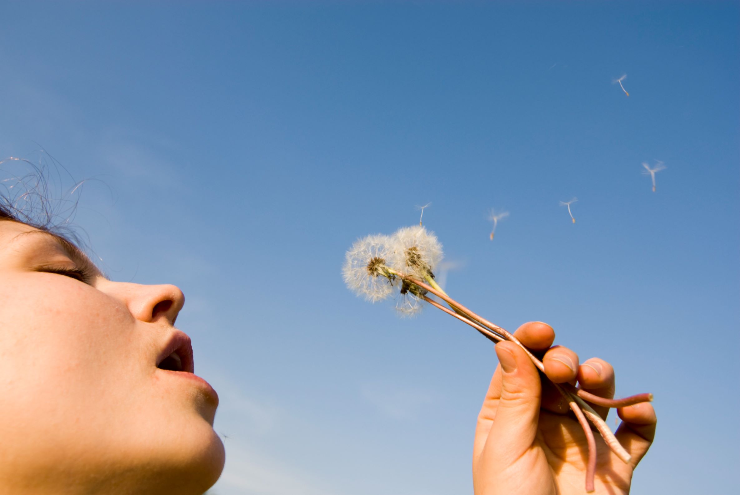 A woman blowing on a dandelion.