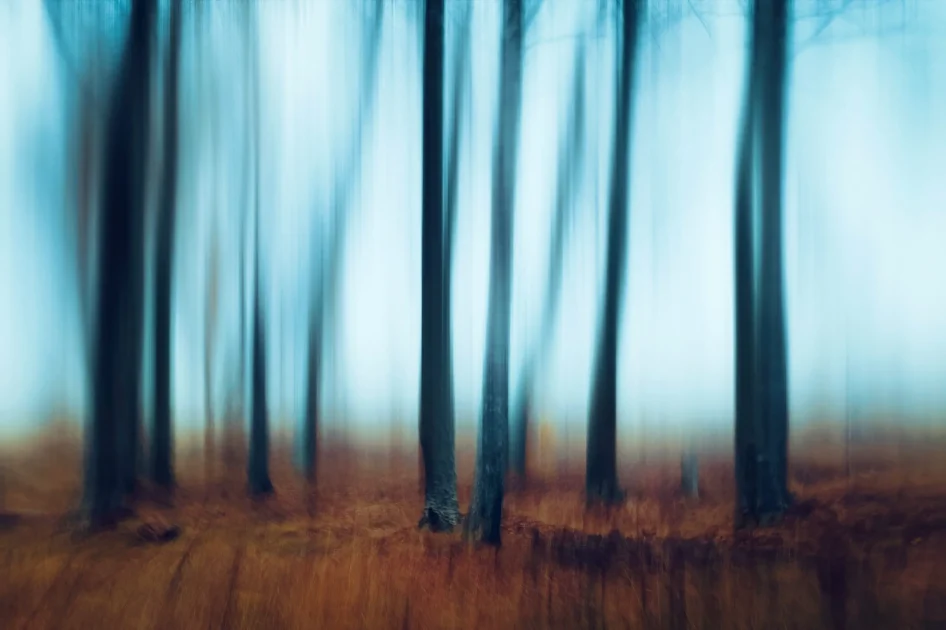 Blurred forest scene with tall trees in motion, creating a dreamy and surreal atmosphere.